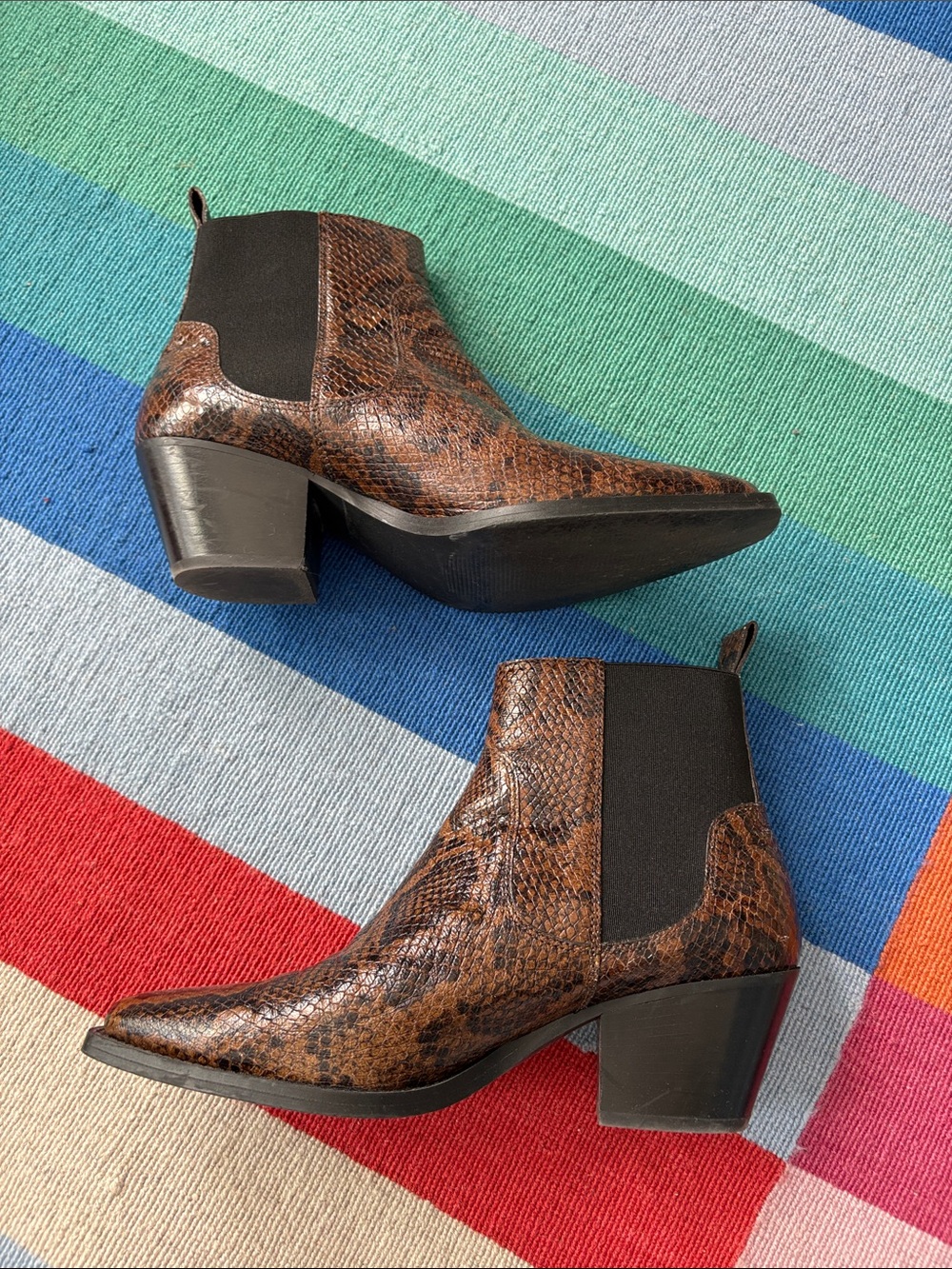Everlane Snake Western Chelsea Boot